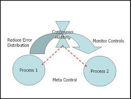 Pelatihan Continuous Auditing