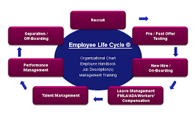 Pelatihan How to Set Up HR Lifecycle System