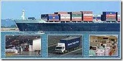 SHIPPING CARGO CUSTOM AND TRANSPORTATION MANAGEMENT