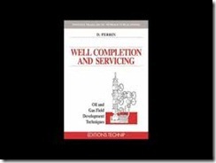 WELL COMPLETION AND SERVICING