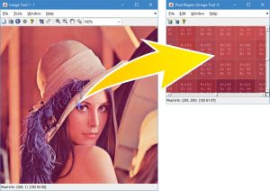 Pelatihan Pemrosesan Citra Digital