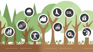 PELATIHAN PENGELOLAAN HCVF (HIGH CONSERVATION VALUE FOREST) SFM FSC