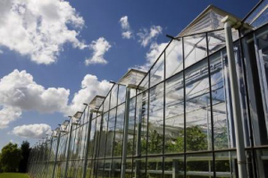 PELATIHAN PENGURANGAN EMISI DAN MITIGASI GAS RUMAH KACA