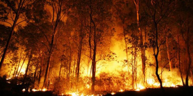 PELATIHAN Penanggulangan Kebakaran