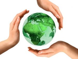 Training Environmental Assessment & Audit