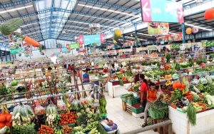 PELATIHAN SURVEI PASAR DAN RISET PERILAKU KONSUMEN