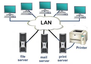 Pelatihan Local Area Network Basic