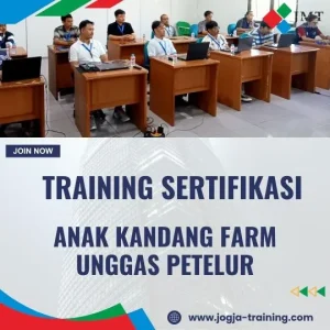 Sertifikasi Ternak Unggas Petelur